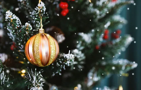 星欧娱乐 平台界面